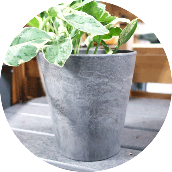 Gray marble-looking plant pot sitting on gray table